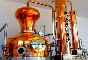 Distillerie Maleva - Alambic Holstein