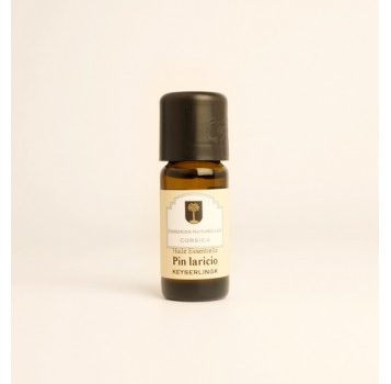 Pin Laricio bio – huile essentielle – 10 ml
